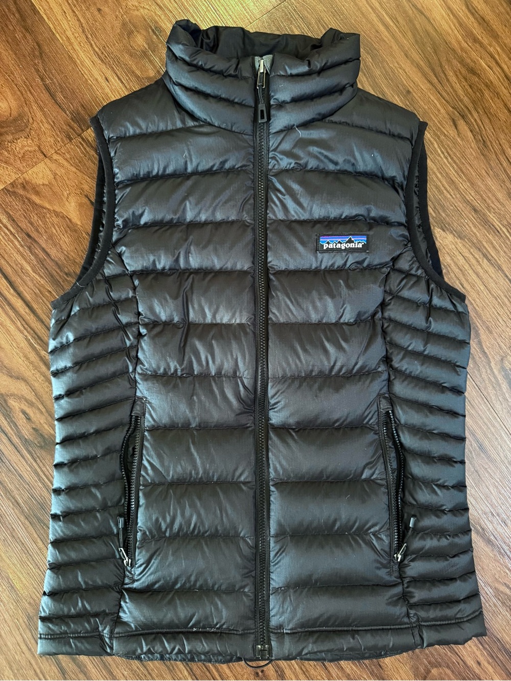 Patagonia Down Sweater Vest